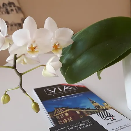 Apartmán Msapartamenty Poznaň